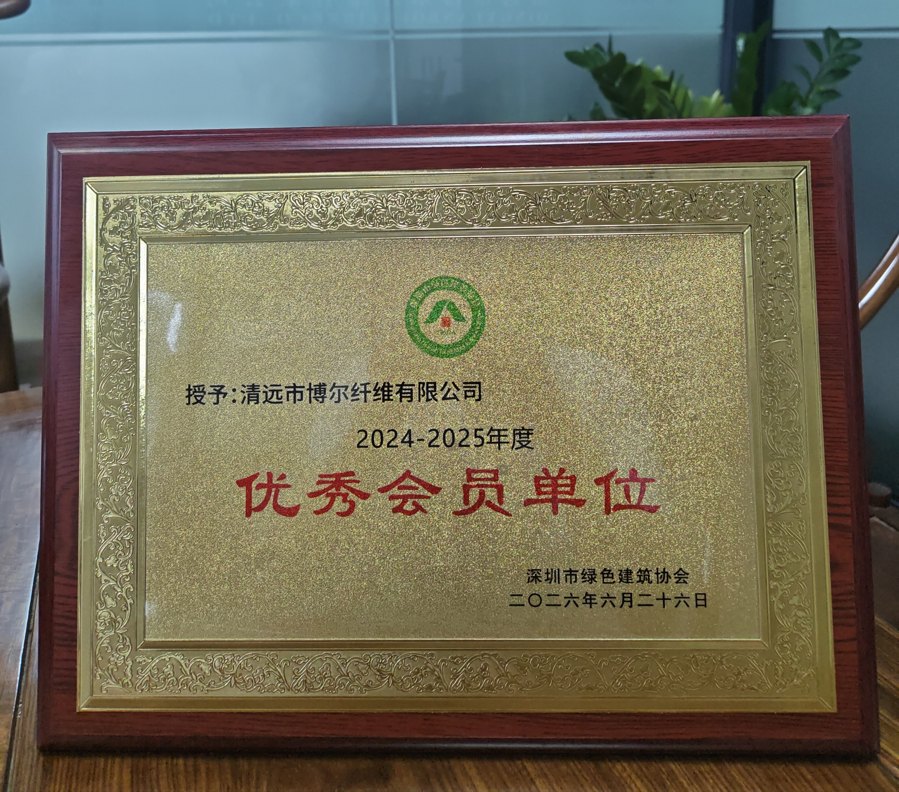 深圳市绿色建筑协会2024-2025年度优秀会员单位奖牌，2026年6月26日